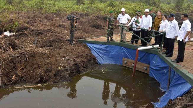 BNPB: Presiden Perintahkan Solusi Permanen untuk Kebakaran Hutan