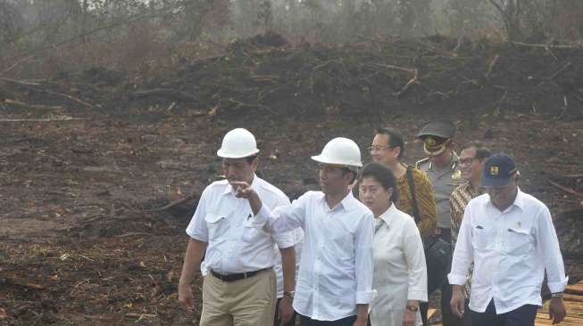 Jokowi Tinjau Sekat Kanal