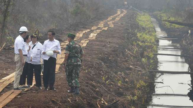 Jokowi Tinjau Sekat Kanal