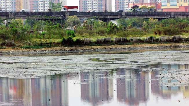 Penampakan Waduk Ria-Rio di kawasan Pulogadung, Jakarta Timur, Senin (2/11).