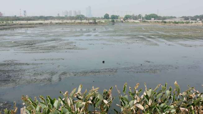 Penampakan Waduk Ria-Rio di kawasan Pulogadung, Jakarta Timur, Senin (2/11).