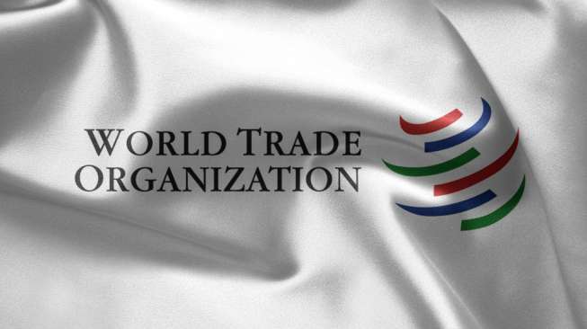 Di Hadapan WTO, Kemendag RI Klaim Perekonomian Indonesia Semakin Baik