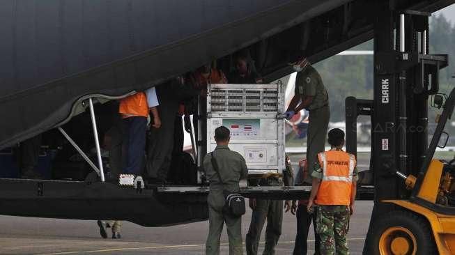 Repatriasi 14 Ekor Orangutan