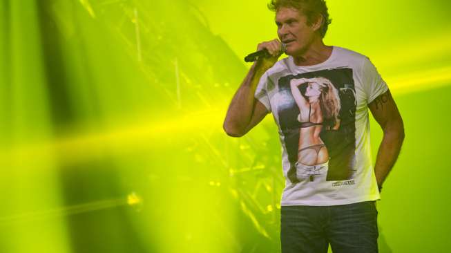 David Hasselhoff Ganti Nama