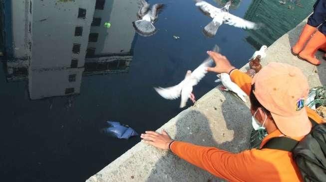 Razia ini dilakukan dalam upaya mencegah penyakit flu burung atau Avian Influenza.