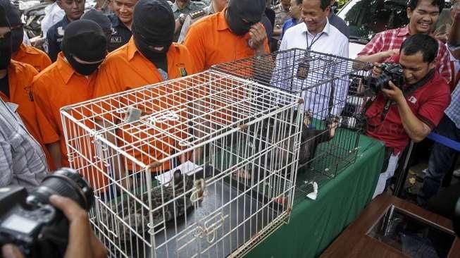 Polda Metro Bongkar Sindikat Penjualan Satwa Liar di Jakarta