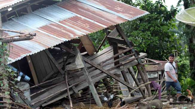 Gajah Liar Masuk Pemukiman Warga