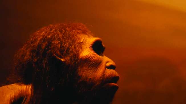 Ditemukan Fosil Manusia Purba Misterius, Punya Gigi Besar Tanpa Dagu