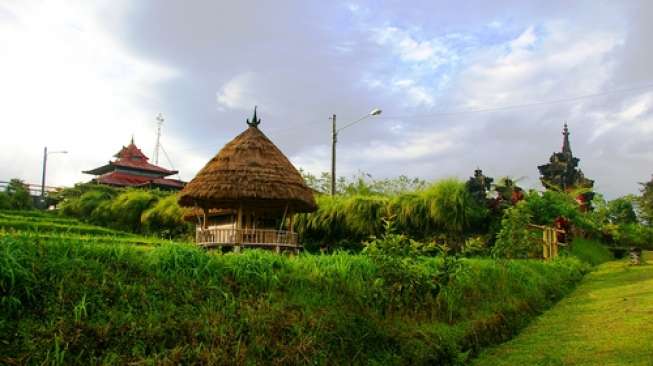 Asyiknya Menyusuri Kebun Kopi di Bali