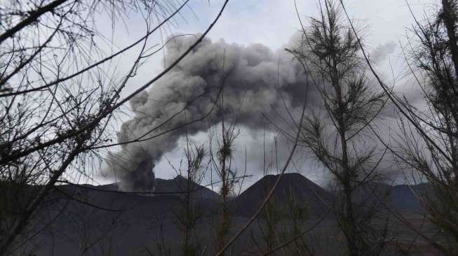 Gunung Bromo tetap dibuka untuk kunjungan wisatawan dengan radius di atas 2,5 kilometer dari bibir kawah.