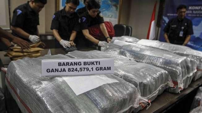 BNN Ungkap 800 Kg Ganja