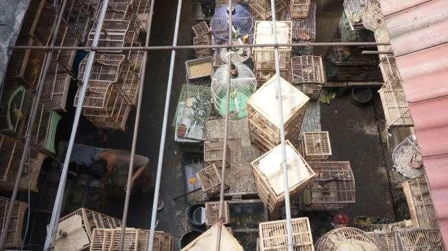 Pasar Burung Pramuka Akan Direlokasi