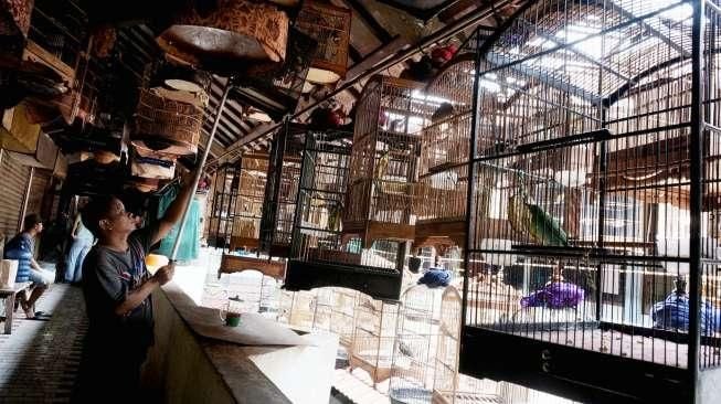 Pasar Burung Pramuka Akan Direlokasi