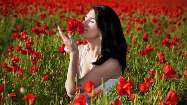 62 Gambar Orang Mencium Bunga Mawar Paling Bagus
