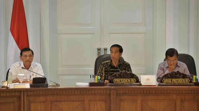 Jokowi Dikunjungi Menteri Lingkungan Hidup Norwegia