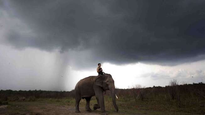 Rumah Sakit Gajah Pertama di Asia