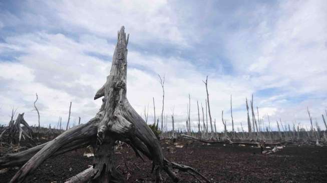 Keindahan Tersembunyi di Utara Papua