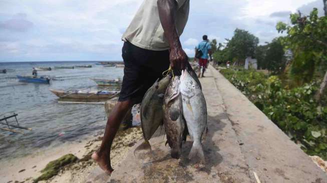 Keindahan Tersembunyi di Utara Papua