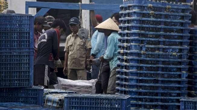 Tangkapan Nelayan Jakarta Menurun