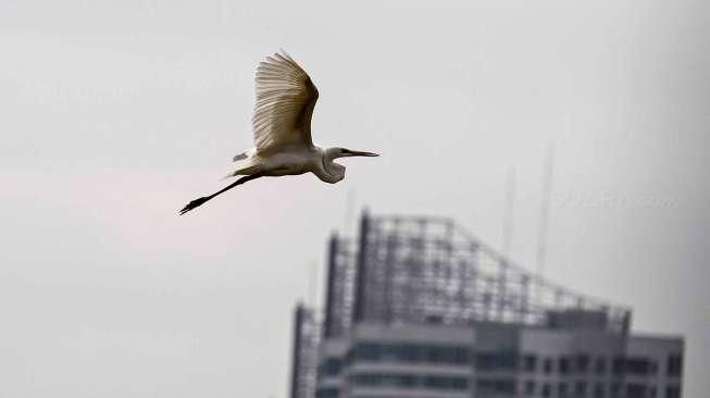 Habitat burung air kian memperihatinkan akibat rusaknya ekosistem oleh sampah dan limbah. 