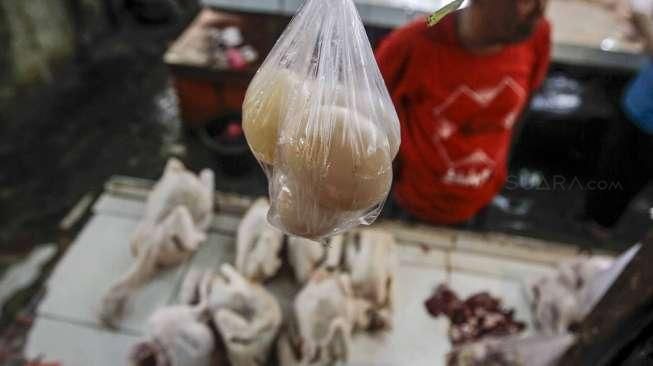 Harga Ayam Potong Turun