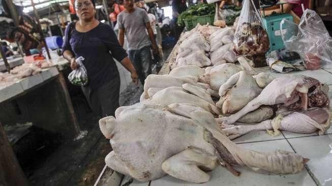 Harga Ayam Potong Turun