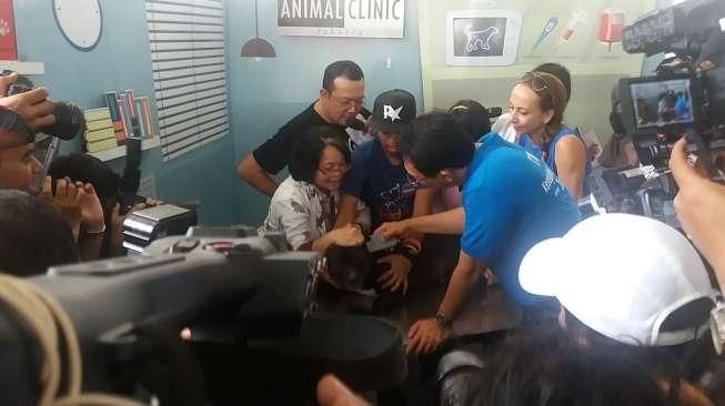 Cegah Hewan Piaraan Telantar, Ahok Imbau Pasang Microchip