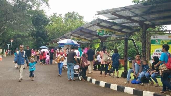 Hujan, Bonbin Ragunan Tetap Dipadati Pengunjung