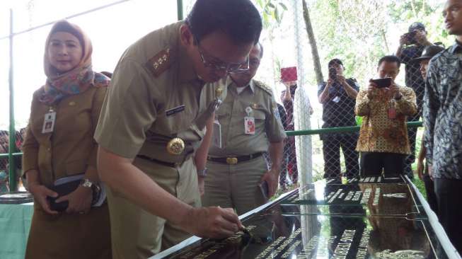 Ahok Siapkan Kekuatan 'Tertibkan' Kalijodo