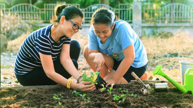 Ini Tiga Manfaat Berkebun di Rumah