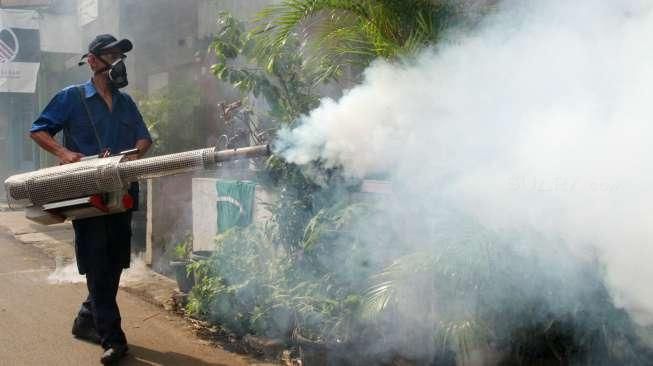 Studi: Fogging Bisa Memicu Autisme pada Anak