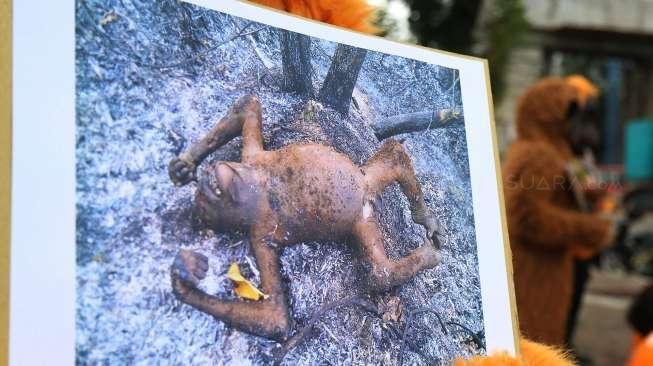 Polisi Tetapkan 5 Tersangka Penembakan Orangutan di Kalimantan