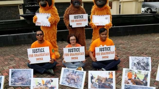 Tuntut Penindakan Pembakar Orangutan