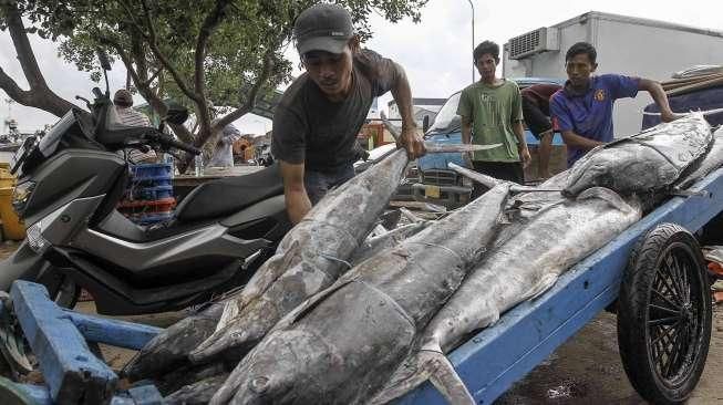 Potensi Ikan Tangkap Capai 130 Ton