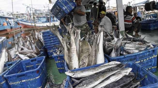 Potensi Ikan Tangkap Capai 130 Ton