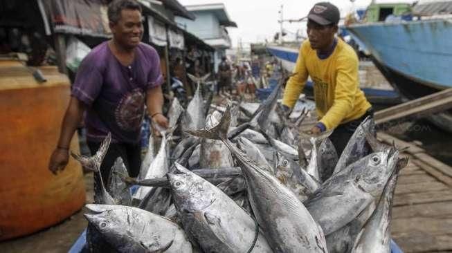 Potensi Ikan Tangkap Capai 130 Ton