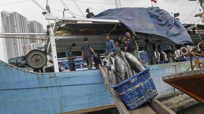 Potensi Ikan Tangkap Capai 130 Ton