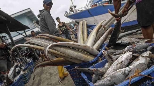 Potensi Ikan Tangkap Capai 130 Ton