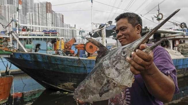 Di Tengah Skandal Reklamasi, Begini Kondisi Nelayan Muara Angke