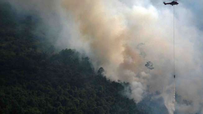 Kencangnya tiupan angin disertai cuaca panas membuat api dengan cepat membakar lahan dan hutan.