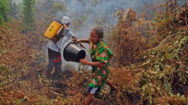 Hutan di Riau Terbakar Lagi