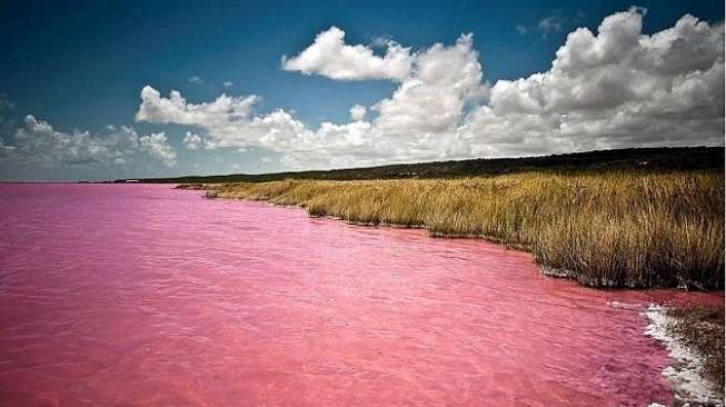 Misteri Danau Merah Muda Terungkap