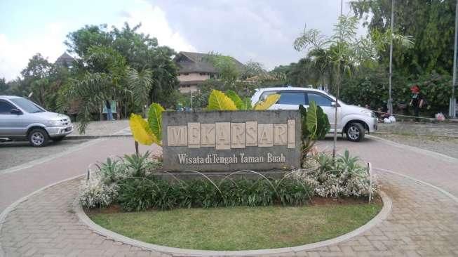 Taman Buah Mekarsari, Surga Tanaman Buah Nusantara