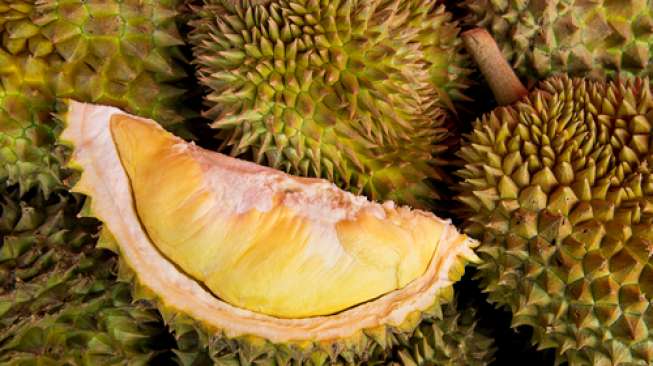 Ekspor Durian ke China Lancar, Puluhan Ton Dikirim Setiap Dua Bulan