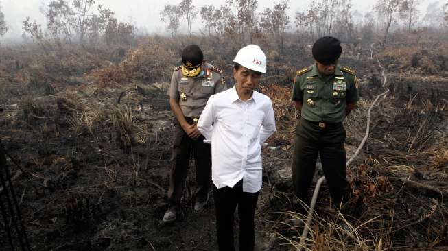 Dalam ajang APFI 2016 ada sembilan kategori.