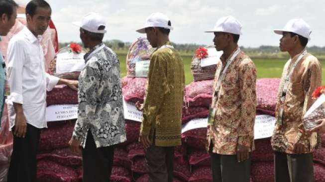 Jokowi Tugaskan BUMN Kelola Bawang Merah