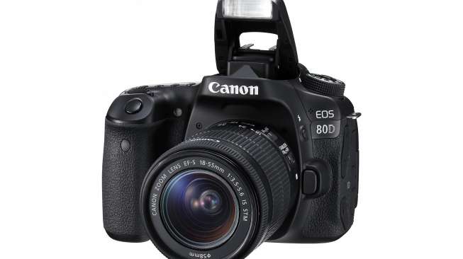 canon 80d professional