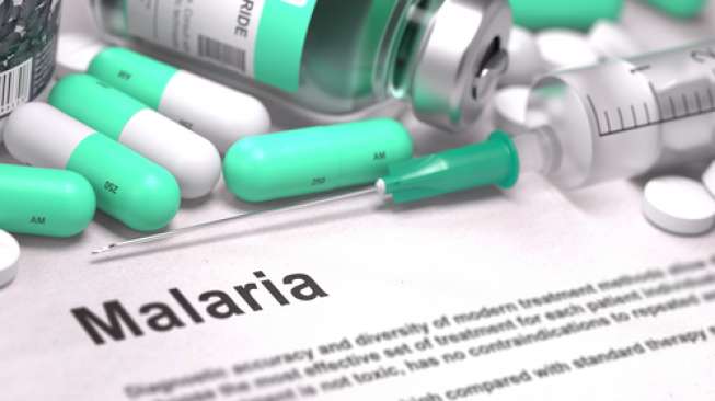 Menurut Peneliti, Menyusui Mampu Melindungi Bayi dari Malaria - 2