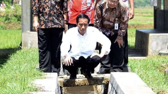 Jokowi Tinjau Irigasi Hasil Dana Desa di Banyumas