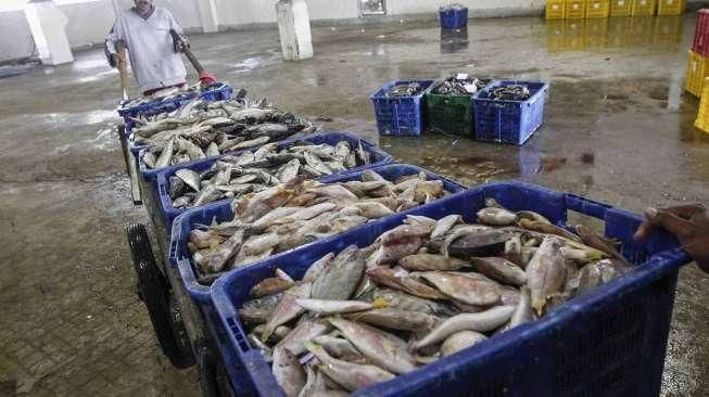 Produksi Ikan Muara Angke Menurun